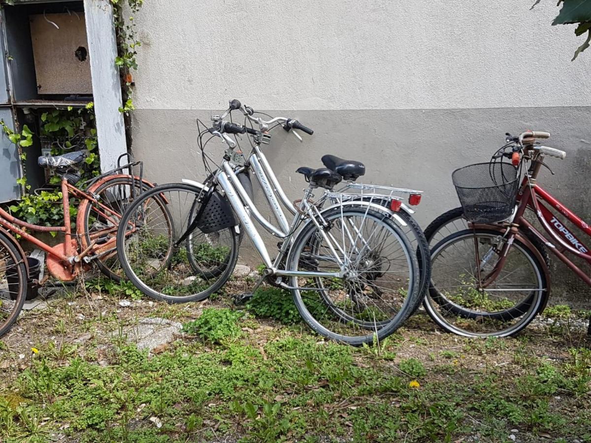 Apartament Sole...Mare...E...Spiaggie Bianche! Vada Zewnętrze zdjęcie